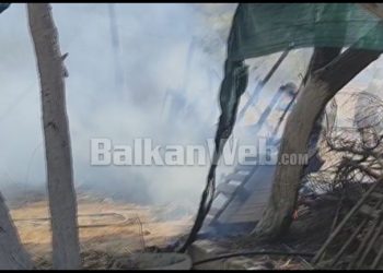 Lokali në Zvërnec përfshihet nga flakët, pushuesit në panik