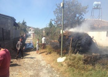 Zjarri në stallë djeg për së gjalli bagëtitë, flakët rrezikojnë banesat. Gjyshja, jo në gjendje të mirë shëndetësore