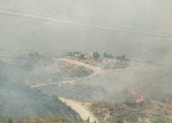 I vunë zjarrin pyjeve në Karaburun, Delisuf e Konispol: Pranga 3 personave