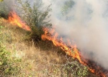 Temperatura të nxehta, IGJEUM paralajmëron se cilat qarqe janë në rrezik nga zjarret