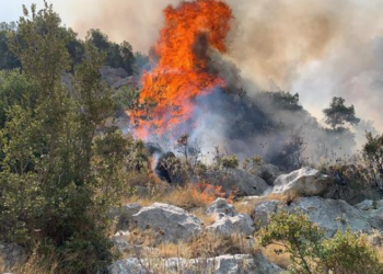 “Zjarri në Gadishullin e Karaburunit paraqet rrezikshmëri”, MB bën bilancin: Ja vatrat aktive në vend