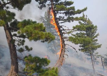 Zjarret/ Ministria e Mbrojtjes: Shuhet vatra në Malin e Rrajcës, problematike mbetet zona e Pukës