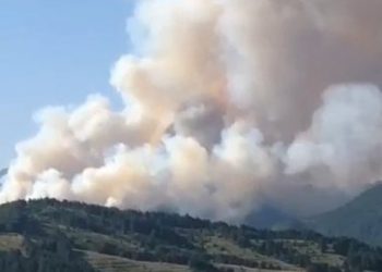 FOTO: Tmerrohen banorët, shihni se çfarë po ndodh tek pylli i pishave në Voskopojë