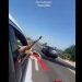 “Me trashëgime Meti Tafaj!”/ Publikoi videon me breshëri kallashi në dasëm, policia shpall në kërkim autorin
