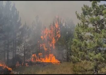 Zjarret ‘mbërthejnë’ Veriun! Rrezikohet kurora e Pukës, në aksion 50 efektivë të FA dhe 20 zjarrfikës e punonjës pyjorë