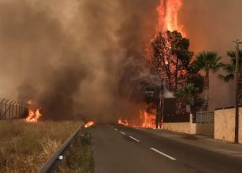 Del jashtë kontrollit zjarri në Greqi, bllokohen qindra banorë dhe zjarrfikës, Mitsotakis niset me urgjencë drejt zonave të prekura