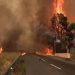 Del jashtë kontrollit zjarri në Greqi, bllokohen qindra banorë dhe zjarrfikës, Mitsotakis niset me urgjencë drejt zonave të prekura