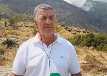 Prefekti i Vlorës: Dje i fikëm të gjitha zjarret, “duart e poshtra” na kthyen sërish në betejën për të mbrojtur Llogoranë
