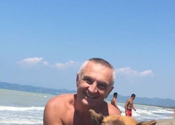 Lufta me zjarrin/ Komandanti i Përgjithshëm i Ushtrisë Ilir Meta foli nga Lalzi, të “shpallte” fundjavë të martën dhe të shkonte në Vlorë