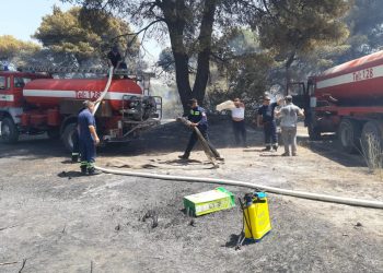 Shpëtohen banesat në fshatin Dukat, neutralizohet plotësisht zjarri në Delisuf. Peleshi: Eleminuam rrezikun