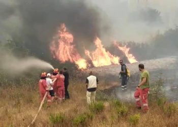 Parandalohet katastrofa në zonën e lumit të Vlorës, neutralizohen flakët. Peleshi: Ushtria, ndërhyrje nga toka e ajri