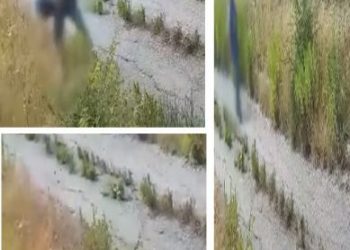 Zjarret në Evropë të qëllimshme?/ Mediat italiane publikojnë pamjet sesi burri i vendos flakën fushës dhe largohet normal (VIDEO)