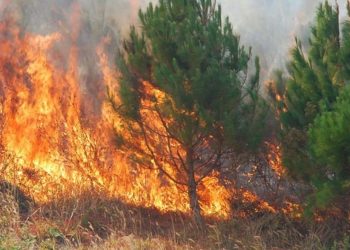 Identifikohet viktima në Gjirokastër/ Peleshi thirrje banorëve: Largohuni nga banesat, mos bëni rezistencë!