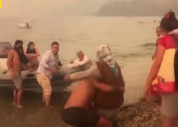 (Video) Turqia nën pushtetin e zjarrit, turistët hipin në skafe për t’i shpëtuar zjarrit