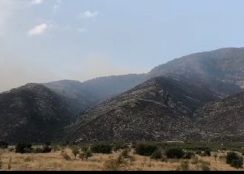 Vijojnë zjarret në Karaburun/ Përhapen në Gjirin e Gramës, flakët rrezikojnë të shkojnë drejt Llogarasë