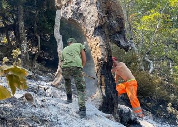 Vendimi/ Qeveria jep 33 milionë lekë për Emergjencat Civile