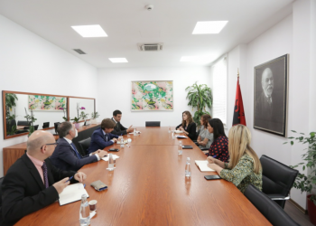 Përfshirja e gjuhëve të huaja të detyruara, Kushi takon përfaqësues të ambasadave