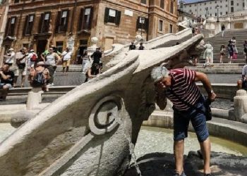 E pazakontë! Temperaturat në Sicili janë aq të larta sa kërmijtë po digjen brenda guaskave