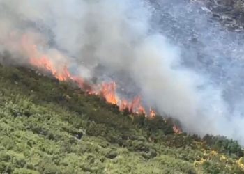Fiket zjarri në Radostinë të Fierit, zjarrfikësit nuk i dorëzohen terrenit të vështirë dhe flakëve