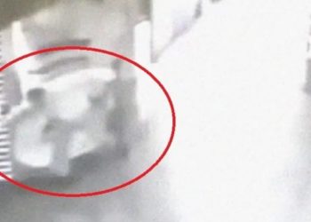 VIDEO / Një fuqi e padukshme sulmon rojen, kreu i komunës u kërkon ndihmë ekspertëve