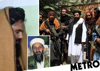 “S’ka prova që ta lidhin Bin Laden me 11 shtatorin”/ Talebanët nuk ndryshojnë qëndrim për ish liderin e Terrorit