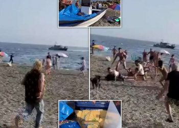 VIDEO/ Trafikanti me 800 kg drogë zbarkon me shpejtësi në breg e përplas një pushues. Plazhistët heronj e mbërthejnë në kohë