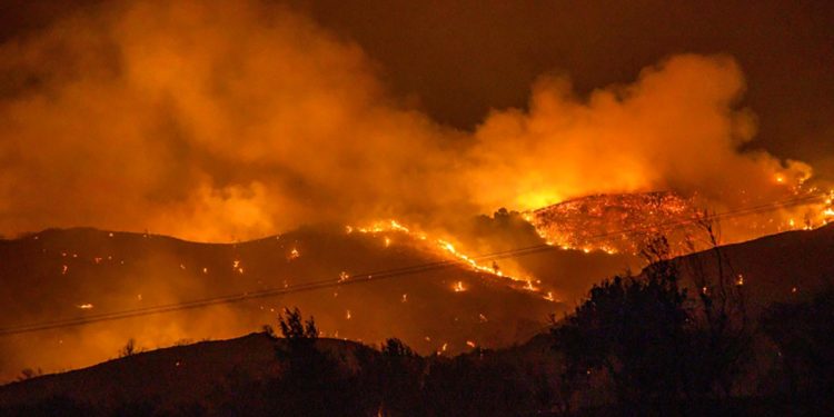 Trees burn in a forest on the slopes of the Throodos mountain chain, as a giant fire rages on the Mediterranean island of Cyprus, during the night of July 3, 2021. - A huge forest blaze in Cyprus has killed four people, destroyed homes and forced evacuations of villages as Greece and other countries deployed fire-fighting planes to the Mediterranean island. The fire began in the afternoon of July 3 and swept through districts in the southern foothills of the Troodos mountains as the country grapples with a blistering heatwave (Photo by Georgios Lefkou Papapetrou / AFP)