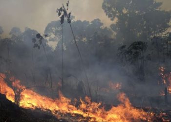 Shpërthimet në Dropull, MM: S’dihet ende nëse ishin granata apo bombola gazi. Ja si paraqitet situata me zjarret në vend