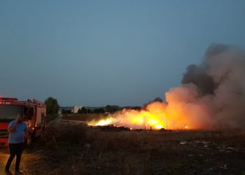 FOTOT/ Zjarr i madh në afërsi të fshatrave turistike në Qerret të Kavajës, zjarrfikëset në vendngjarje