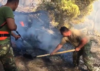 Eliminohet rreziku për Parkun e Llogarasë, shfaqet një vatër zjarri në kufi