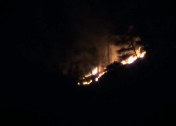 “Është vënë nga dora e njeriut”/ Zjarr në fshatin Lapardha në Berat, rrezikohen banesat