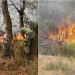 Ndërpritet operacioni për shuarjen e zjarrit në Karaburun, shkak era e fortë