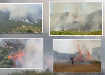 ‘Kamikazë’/ Drejtori për Zonat e Mbrojtura: Zjarret të qëllimshëm. Për rikuperimin e bimësisë duhen 30 vite