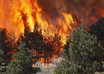 Situata me zjarret, Ministria e Mbrojtjes bën bilancin: 9 vatra aktive në veri, mbi 100 trupa të FA dhe zjarrfikëse në terren