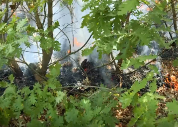 Edhe Kosova lufton me flakët: Dëm i pallogaritshëm, zjarre të vëna nga dora e njeriut