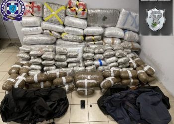 FOTO/ Operacion antidrogë në Greqi, policia kap rreth 335 kg kanabis me origjinë nga Shqipëria