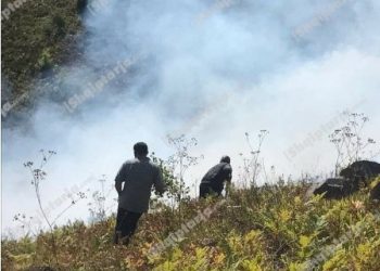 Zjarri në pyjet në “Majën e Zezë” në Kukës, 36 forca në terren për shuarjen e flakëve