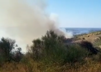 Zjarr në Lalz, digjet një sipërfaqe e madhe me shkurre dhe barishte. Shqetësohen banorët e vilave