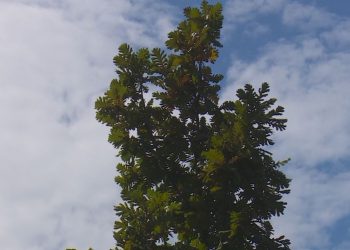Moti i paqëndrueshëm në gjithë vendin, ja ku priten reshje shiu sot