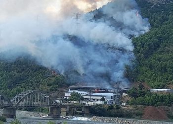Përfshihet nga flakët stalla në Lezhë, zjarrfikëset mbërrijnë në vendngjarje