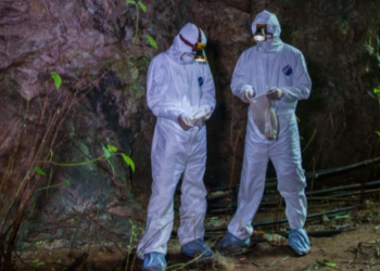 Misteri i pandemisë Covid, fillesat para 9 vitesh në trupin e një minatori kinez