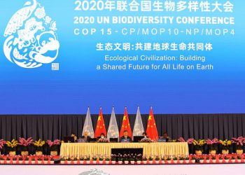 Mjedis/ COP15 miraton Deklaratën e Kunming-ut për shtimin e biodiversitetit