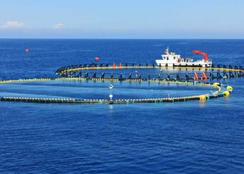 Deti Jon/ Rama publikon pamjet e Fermës së Tonit për tregun japonez