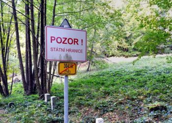 Humbi në pyll para 2 ditësh, gjendet e gjallë 8-vjeçarja në pyllin afër qytetit