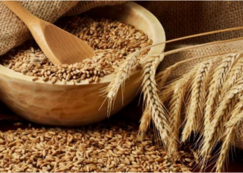 Çmimi i grurit të zhdoganuar rritet edhe 6%, si do të reflektohet në tregun vendas