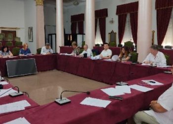 PD e thirri në dëgjesë për rritjen e çmimit të miellit, kryetarja e Autoritetit të Konkurrencës dyshohet me Covid, shtyhet mbledhja tek ‘Ekonomia’