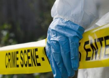 Maqedonia e Veriut! Një 62-vjeçar shqiptar masa*ron me thikë nënën e vet
