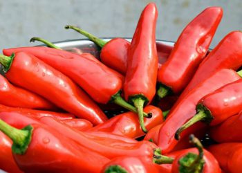 Një çmim Nobel i fituar për shkak të specit djegës, identifikojnë një ‘sensor’ të lëkurës