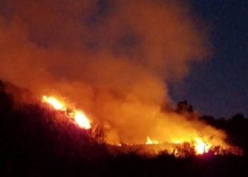 Zjarr i madh pranë plazhit të Gjeneralit/ Digjen tre banesa, rrezikohen dhjetëra të tjera