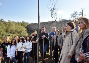 BERZH, BE dhe Ambasada e Austrisë dhurojnë 180 pemë, Veliaj: Programi për financimin e ekonomisë së gjelbër, kontributi më i mirë për Tiranën!